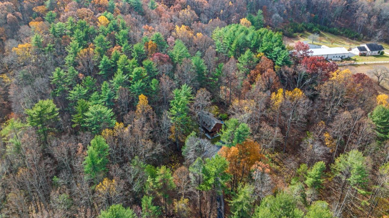 Sleepy Hollow 5Br Cabin - National Park 7 Min, Hot Tub, Fire Pit, Sleeps 12 Luray Dış mekan fotoğraf